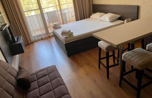 Shkorpilovtsi Apartment | Фамилно студио Релакс