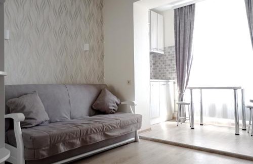 Petrovskoye Apartment | ЮЖД посуточная аренда, уютная студия