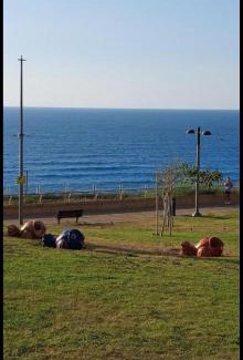 Netanya Apartment | מלון כרמל/מגדל C