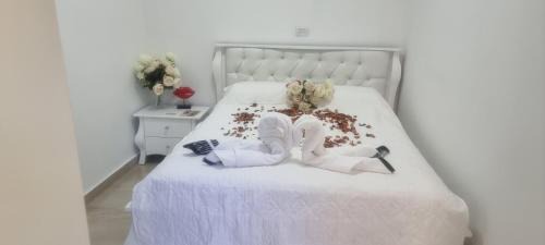 Kiryat Ekron Apartment | צימר אלין בכפר