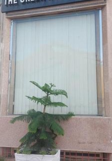 Abha Apartment | البيت الأخضر - شقق مخدومة Green House