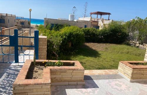Borg el Arab House | شالية