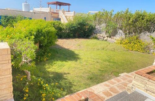 Borg el Arab House | شالية