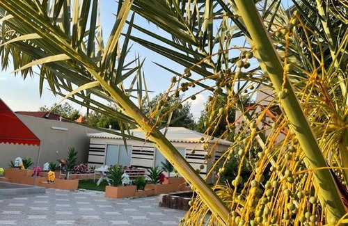 Taif Ski Chalet | شاليهات بشرى الطايف