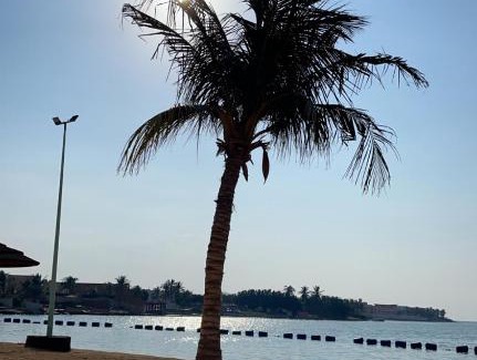 Durrat Al-Arous Apartment | شاليه درة العروس