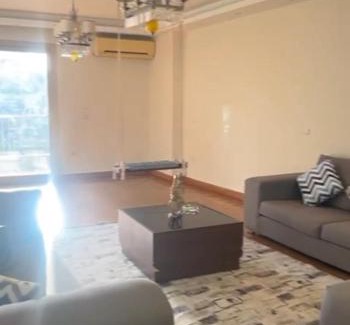Old Cairo Apartment | شقه بكورنيش النيل