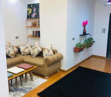 Zamalek Apartment | شقه فندقيه بالزمالك