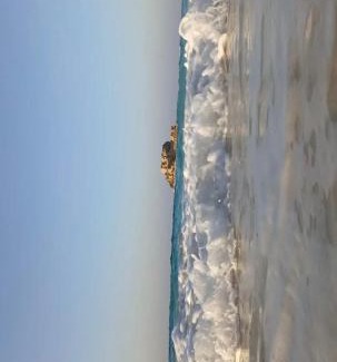 Marsa Matruh Apartment | شقه مصيفيه
