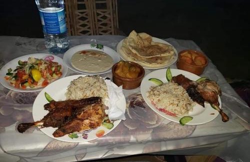 Siwa Hotel | فندق النخيل