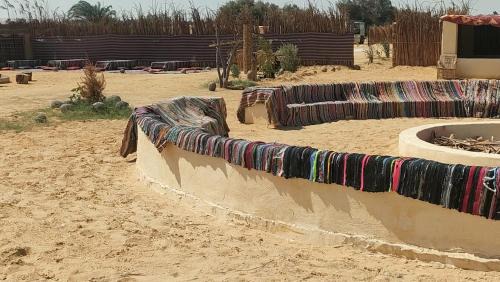 Al Fayoum Other | مخيم وادى الحيتان بالفيوم