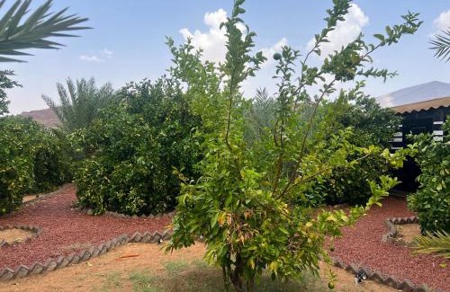 Western Province Apartment | مزرعةبرتقالOrange farm
