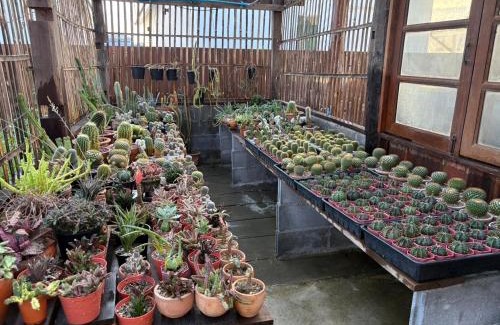 Hang Dong House | บ้านทาคายามา