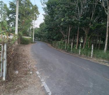 Krabi House | บ้านสวนคุณตา@กระบี่