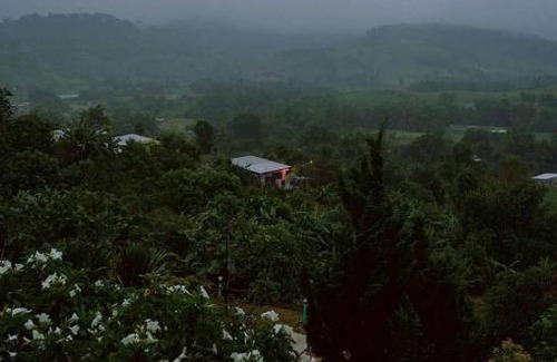 Khao Kho Bed & Breakfast | บ้านไม้ภูหมอก