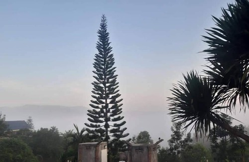 Khao Kho Bed & Breakfast | บ้านไม้ภูหมอก