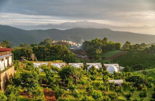 Mae Rim Other | ภูแสงเทียน โฮมสเตย์