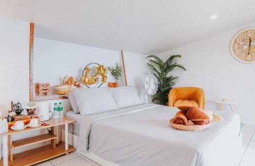 Mae Rim House | ม่อนเหนือโฮมสเตย์ Monnuea Homestay