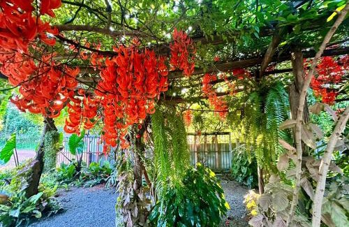 Ban Dung House | หลัง 1 เฌอเฌอ การ์เด้น เฮาส์ ที่พักคำชะโนด