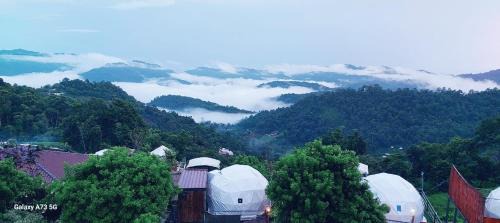 Mae Rim Other | ไร่สายหมอก
