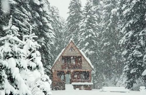 Ambrolauri Ski Chalet | ხის სახლი