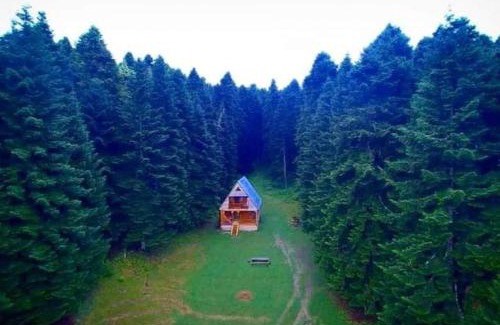 Ambrolauri Ski Chalet | ხის სახლი