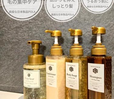 Nishinari Hotel | 嵐 Hotel Arashi Tengachaya No005