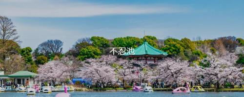 Higashiueno Apartment | 新上野202 站步行7分钟稻成町站2分钟