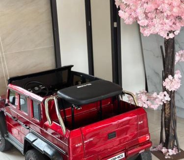 Ruisui Hotel | 沐舍-蜜滋賀溫泉飯店