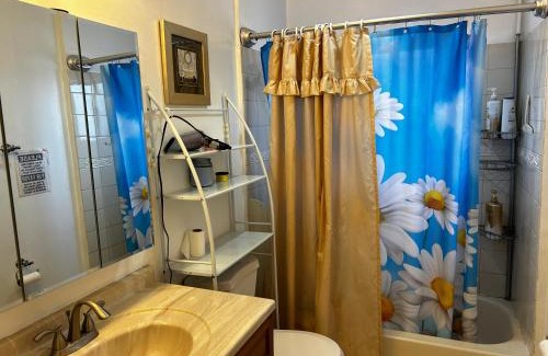 El Monte House | 洛杉矶东部花园式独立屋暂停