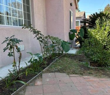 El Monte House | 洛杉矶东部花园式独立屋暂停