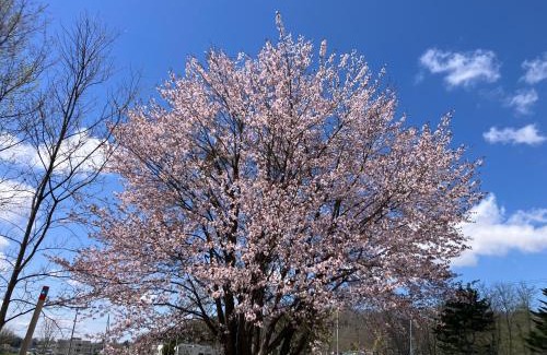 Mikasa House | 空彩 -sorairo- 札幌から富良野への最短ルート