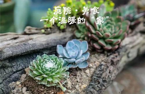 Chenzhou House | 资兴东江湖16号精品别墅