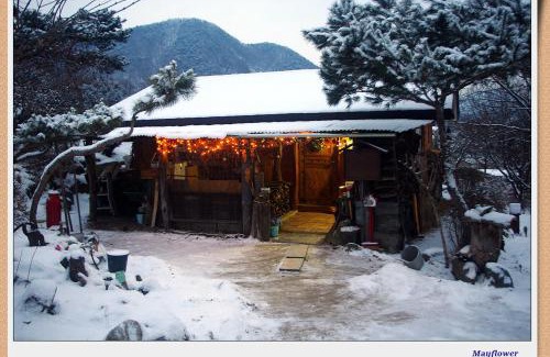 Eumseong House | 숲속 작은 황토집