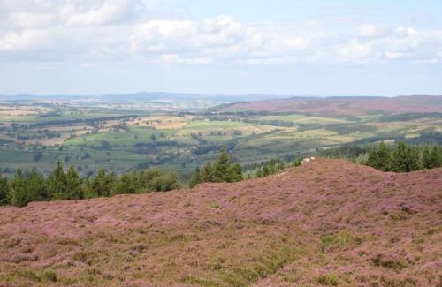 Rothbury House | 1 Bed in Rothbury CN111