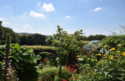 Llanfair Clydogau Apartment | 1 Bed in Tregaron 43288