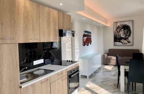 Roquebrune-Cap-Martin Apartment | 1 BEDROOM APARTMENT iN ViLLA MATEKA