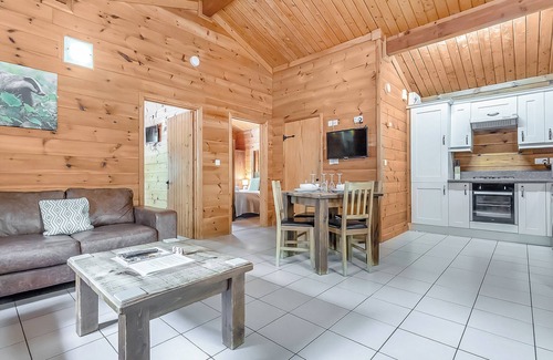 Freehay Ski Chalet | 1 bedroom accommodation in Freehay, Cheadle
