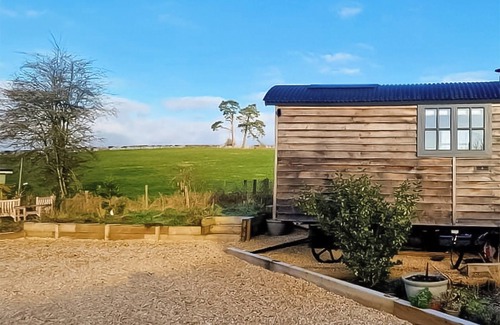 Chute Forest Cottage | 1 bedroom accommodation in Collingbourne Ducis, Marlborough