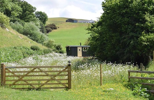 Saint Asaph Cottage | 1 bedroom accommodation in Tremerchion