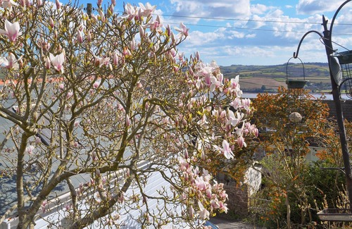 Bishopsteignton Cottage | 1 bedroom accommodation in Bishopsteignton, near Teignmouth