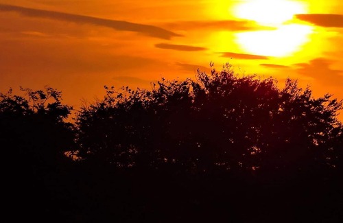 Dihewid Cottage | 1 bedroom accommodation in Ty Gwyn, near Aberaeron