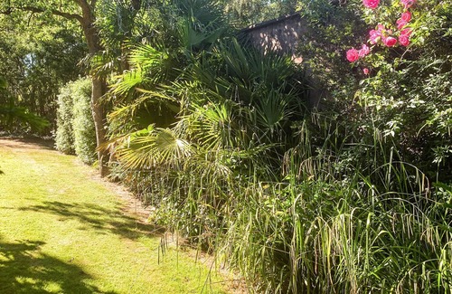 Alcombe Cottage | 1 bedroom accommodation in Ellicombe, near Dunster
