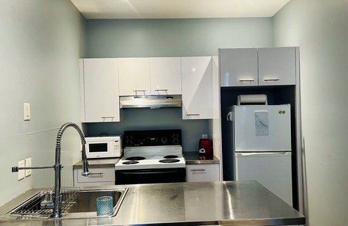 Sainte-Marie Condo | 1 Bedroom Apartment at Le Plateau-Mont-Royal. 10 mins to the Downtown Area.