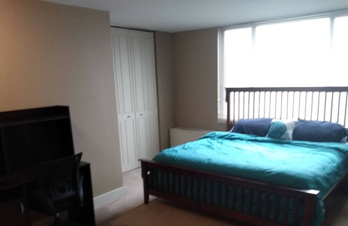 Northeast Kansas City Condo | 1 Bedroom condo Downtown Kansas City at the metropolitan