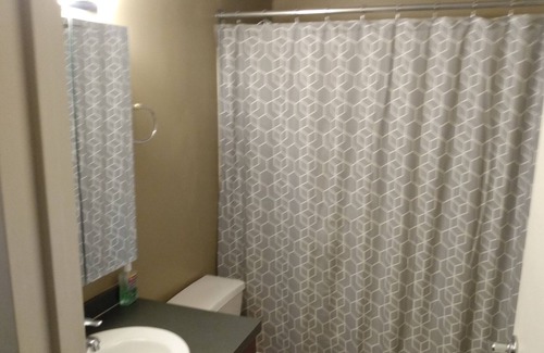 Northeast Kansas City Condo | 1 Bedroom condo Downtown Kansas City at the metropolitan