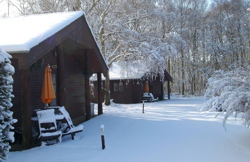 Ashford House | 1 Bedroom Cottage - Indoor Pool - Woodland Setting 5 Acres