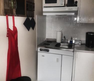 Downtown Gatineau Apartment | 1-Bedroom Cozy Suite #23 by Amazing Property Rentals