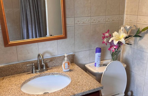 Clason Point Apartment | 1-bedroom in the Bronx next to nearby parks and ferry.