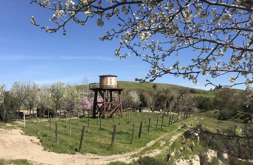 San Miguel House | 1 BR 1 BA Private House on 37-acre organic orchard: The Cottage at Hartley Farms