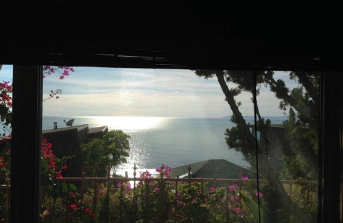 Arch Beach Heights Apartment | 1 BR APT OCEANVIEW MONTAGE RESORT MARINE RESERVE AREA 30 day min Sleeps 5